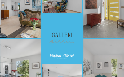 Galleri Batteri